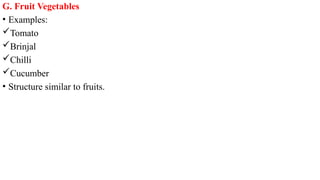 G. Fruit Vegetables
• Examples:
Tomato
Brinjal
Chilli
Cucumber
• Structure similar to fruits.
 