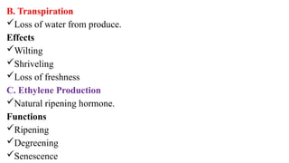 B. Transpiration
Loss of water from produce.
Effects
Wilting
Shriveling
Loss of freshness
C. Ethylene Production
Natural ripening hormone.
Functions
Ripening
Degreening
Senescence
 