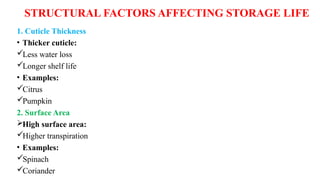 STRUCTURAL FACTORS AFFECTING STORAGE LIFE
1. Cuticle Thickness
• Thicker cuticle:
Less water loss
Longer shelf life
• Examples:
Citrus
Pumpkin
2. Surface Area
High surface area:
Higher transpiration
• Examples:
Spinach
Coriander
 