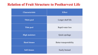 Relation of Fruit Structure to Postharvest Life
Characteristic Effect
Thick peel Longer shelf life
Thin peel Rapid water loss
High moisture Quick spoilage
Hard tissues Better transportability
Soft tissues Easily bruised
 