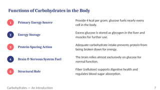 Functions of Carbohydrates in the Body
1 Primary Energy Source
Provide 4 kcal per gram; glucose fuels nearly every
cell in the body.
2 Energy Storage
Excess glucose is stored as glycogen in the liver and
muscles for further use.
3 Protein-Sparing Action
Adequate carbohydrate intake prevents protein from
being broken down for energy.
4 Brain & Nervous System Fuel
The brain relies almost exclusively on glucose for
normal function.
5 Structural Role
Fiber (cellulose) supports digestive health and
regulates blood sugar absorption.
Carbohydrates — An Introduction 7
 