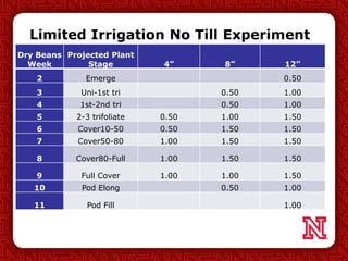 Limited Irrigation No Till Experiment
Dry Beans
Week
Projected Plant
Stage 4” 8” 12”
2 Emerge 0.50
3 Uni-1st tri 0.50 1.00
4 1st-2nd tri 0.50 1.00
5 2-3 trifoliate 0.50 1.00 1.50
6 Cover10-50 0.50 1.50 1.50
7 Cover50-80 1.00 1.50 1.50
8 Cover80-Full 1.00 1.50 1.50
9 Full Cover 1.00 1.00 1.50
10 Pod Elong 0.50 1.00
11 Pod Fill 1.00
 