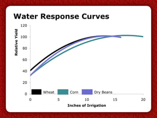 Water Response Curves
0
20
40
60
80
100
120
0 5 10 15 20
RelativeYield
Inches of Irrigation
Wheat Corn Dry Beans
 