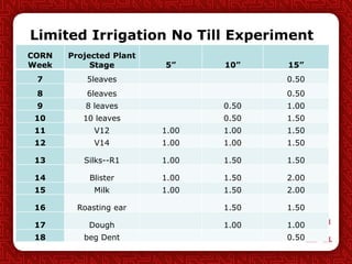 Limited Irrigation No Till Experiment
CORN
Week
Projected Plant
Stage 5” 10” 15”
7 5leaves 0.50
8 6leaves 0.50
9 8 leaves ...