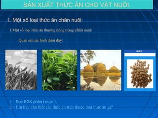 SẢN XUẤT THỨC ĂN CHO VẬT NUÔI.
I. Một số loại thức ăn chăn nuôi:
1.Một số loại thức ăn thường dùng trong chăn nuôi:
Quan sát các hình dưới đây:

1 - Đọc SGK phần I mục 1.
2 - Em hãy cho biết các thức ăn trên thuộc loại thức ăn gì?

 