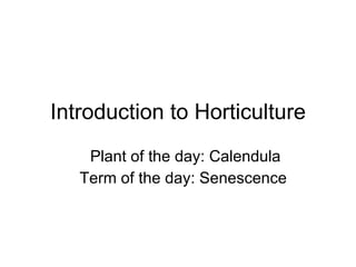 Introduction to Horticulture Plant of the day: Calendula Term of the day: Senescence  