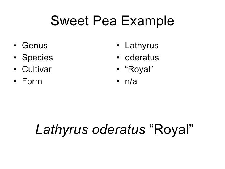 2 2 Hort Life Cycles Names