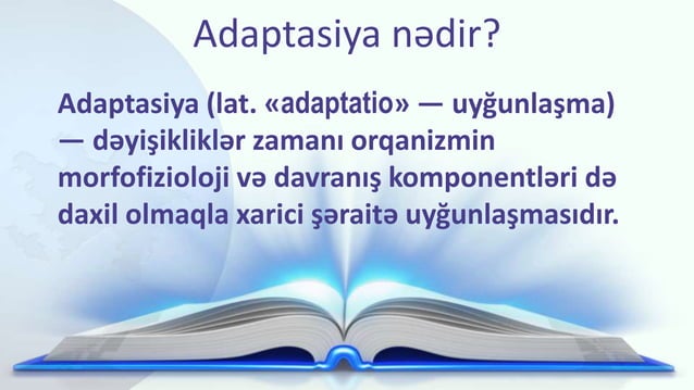 Integration And Adaptation Pptx