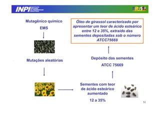 INPI
         INSTITUTO
        NACIONAL
        DA PROPRIEDADE
       INDUSTRIAL




  Mutagênico químico      Óleo de girassol caracterizado por
                  EMS    apresentar um teor de ácido esteárico
                             entre 12 e 35%, extraído das
                         sementes depositadas sob o número
                                     ATCC75669



                                  Depósito das sementes
   Mutações aleatórias
                                        ATCC 75669




                            Sementes com teor
                            de ácido esteárico
                               aumentado
                                  12 a 35%                       51
 
