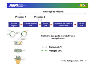 INPI
            INSTITUTO
           NACIONAL
           DA PROPRIEDADE
          INDUSTRIAL




                                         Presença do Produto

     Processo 1                  Processo 2


Célula                Célula vegetal    Planta        Semente GM básica/               Grão
vegetal                    GM            GM              certificada                   GM




                                       Cultivar e sua parte reprodutiva ou
                                                  multiplicativa



                                                 Proteção LPI
                                                 Proteção LPC



                                                                Fonte: Rodrigues, R. L., 2009   71
 