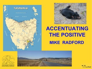 ACCENTUATING THE POSITIVE MIKE  RADFORD 