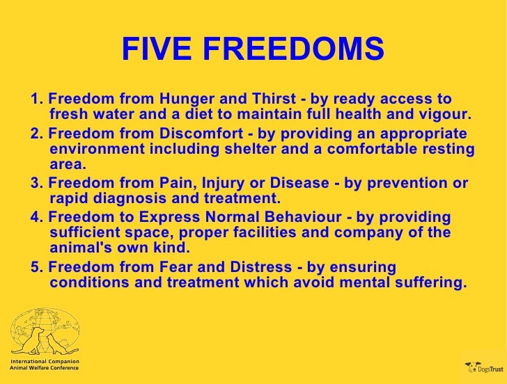 Accentuating the Positive Duty of Care Legislation Mike