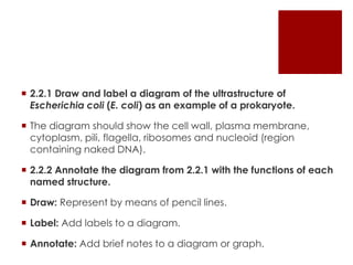 2.2.1 Draw and label a diagram of the ultrastructure of
  Escherichia coli (E. coli) as an example of a prokaryote.

 The diagram should show the cell wall, plasma membrane,
  cytoplasm, pili, flagella, ribosomes and nucleoid (region
  containing naked DNA).

 2.2.2 Annotate the diagram from 2.2.1 with the functions of each
  named structure.

 Draw: Represent by means of pencil lines.

 Label: Add labels to a diagram.

 Annotate: Add brief notes to a diagram or graph.
 