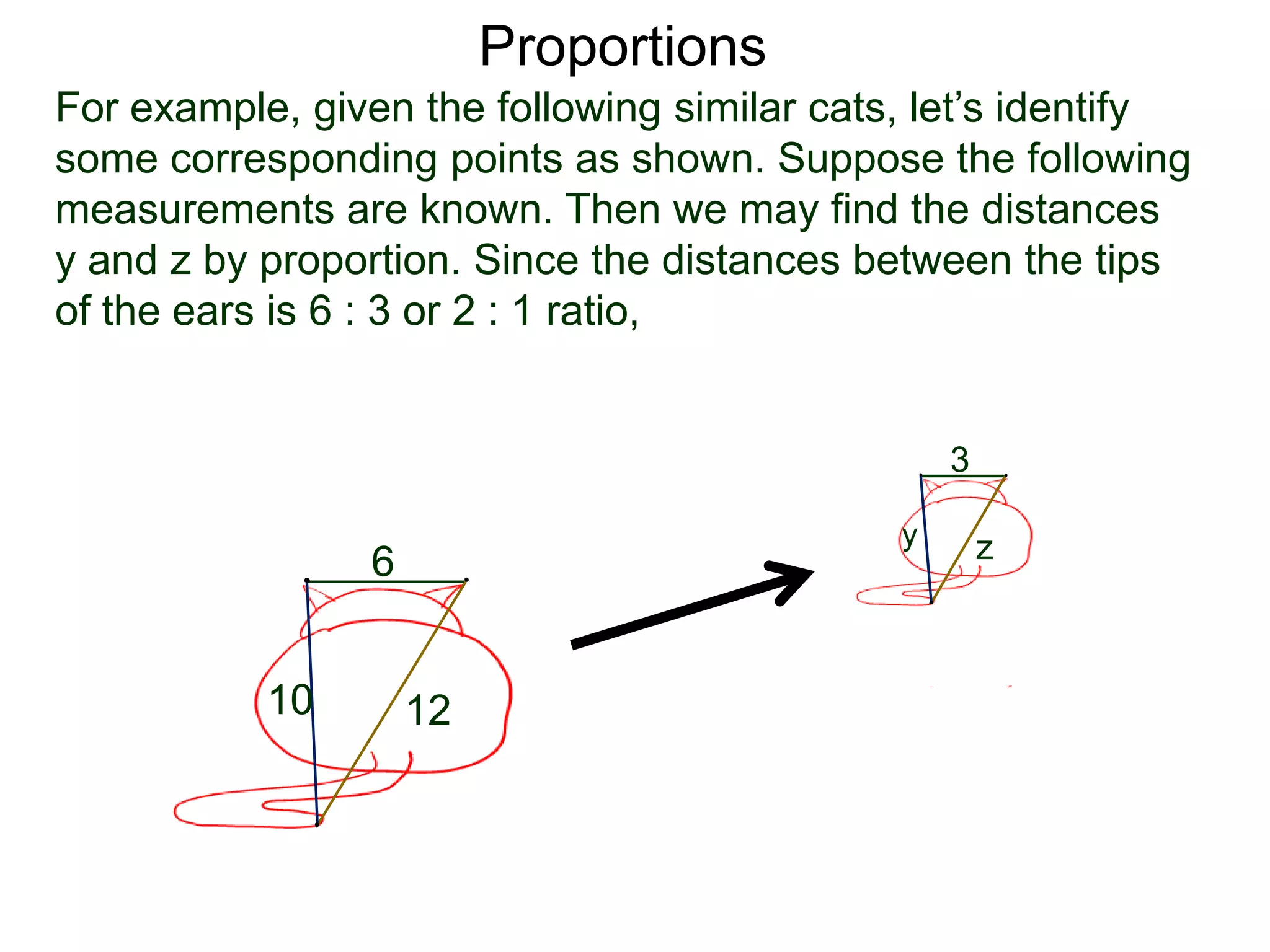 Proportions
B.
For example, given the following similar cats, let’s identify
some corresponding points as shown. Suppose the following
measurements are known. Then we may find the distances
y and z by proportion. Since the distances between the tips
of the ears is 6 : 3 or 2 : 1 ratio, we see that
y =
6
10 12
3
y z
 