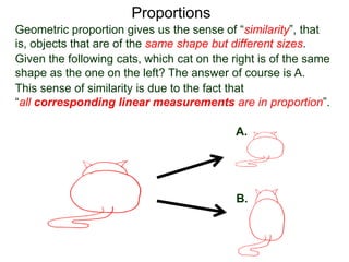 Proportions
For example, given the following similar cats,
 