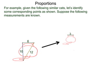 Proportions
B.
For example, given the following similar cats, let’s identify
some corresponding points as shown. Suppose the following
measurements are known. Then we may find the distances
y and z by proportion.
6
10 12
3
y z
 