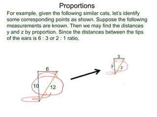 Proportions
B.
For example, given the following similar cats, let’s identify
some corresponding points as shown. Suppose the following
measurements are known. Then we may find the distances
y and z by proportion. Since the distances between the tips
of the ears is 6 : 3 or 2 : 1 ratio, we see that
y =
6
10 12
3
y z
 