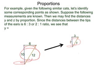 Proportions
B.
For example, given the following similar cats, let’s identify
some corresponding points as shown. Suppose the following
measurements are known. Then we may find the distances
y and z by proportion. Since the distances between the tips
of the ears is 6 : 3 or 2 : 1 ratio, we see that
y = 10/5 = 2 and z = 12/2 = 6.
6
10 12
3
y z
 
