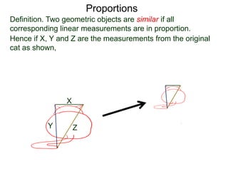Proportions
Definition. Two geometric objects are similar if all
corresponding linear measurements are in proportion.
B.
Hence if X, Y and Z are the measurements from the original
cat as shown, and x, y and z are the corresponding
measurements in the similar copy,
X
Y Z
x
y z
 