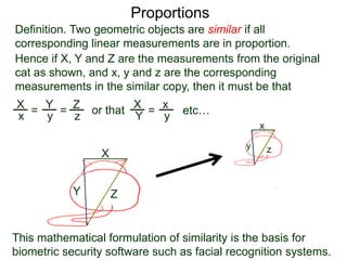 Proportions
The reason that linear proportionality gives us the sense of
similarity is due to visual geometry, that is, the visual images
of an object at different distances form a “cone”.
 