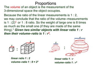 The Golden Ratio
Proportions
 