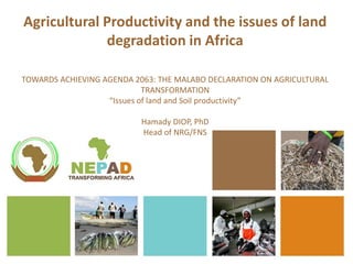 Agricultural Productivity and the issues of land
degradation in Africa
TOWARDS ACHIEVING AGENDA 2063: THE MALABO DECLARATION ON AGRICULTURAL
TRANSFORMATION
“Issues of land and Soil productivity”
Hamady DIOP, PhD
Head of NRG/FNS
 