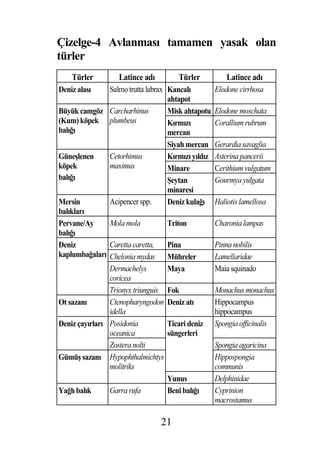 Çizelge-4 Avlanması tamamen yasak olan
türler
    Türler         Latince adı         Türler            Latince adı
Deniz alası     Salmo trutta labrax Kancalı          Elodone cirrhosa
                                    ahtapot
Büyük camgöz Carcharhinus           Misk ahtapotu    Elodone moschata
(Kum) köpek plumbeus                Kırmızı          Corallium rubrum
balı ı                              mercan
                                    Siyah mercan     Gerardia savaglia
Güne lenen      Cetorhimus          Kırmızı yıldız   Asterina pancerii
köpek           maximus             Minare           Cerithium vulgatum
balı ı                               eytan           Gourmya yulgata
                                    minaresi
Mersin          Acipencer spp.      Deniz kula ı     Haliotis lamellosa
balıkları
Pervane/Ay      Mola mola           Triton           Charonia lampas
balı ı
Deniz           Caretta caretta,    Pina             Pinna nobilis
kaplumba aları Chelonia mydas Mühreler               Lamellaridae
                Dermachelys         Maya             Maia squinado
                coricea
                Trionyx triunguis Fok                Monachus monachus
Ot sazanı       Ctenopharyngodon Deniz atı           Hippocampus
                idella                               hippocampus
Deniz çayırları Posidonia           Ticari deniz     Spongia officinalis
                oceanica            süngerleri
                Zostera nolti                        Spongia agaricina
Gümü sazanı Hypophthalmichtys                        Hippospongia
                molitriks                            communis
                                    Yunus            Delphinidae
Ya lı balık     Garra rufa          Beni balı ı      Cyprinion
                                                     macrostamus

                                 21
 
