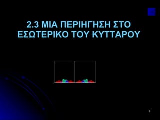 2.3 ΜΙΑ ΠΕΡΙΗΓΗΣΗ ΣΤΟ ΕΣΩΤΕΡΙΚΟ ΤΟΥ ΚΥΤΤΑΡΟΥ 