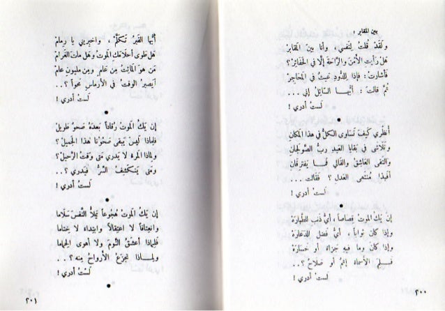 ديوان أيليا أبوماضي 3 2