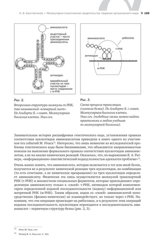 Метапарадигма 2-3