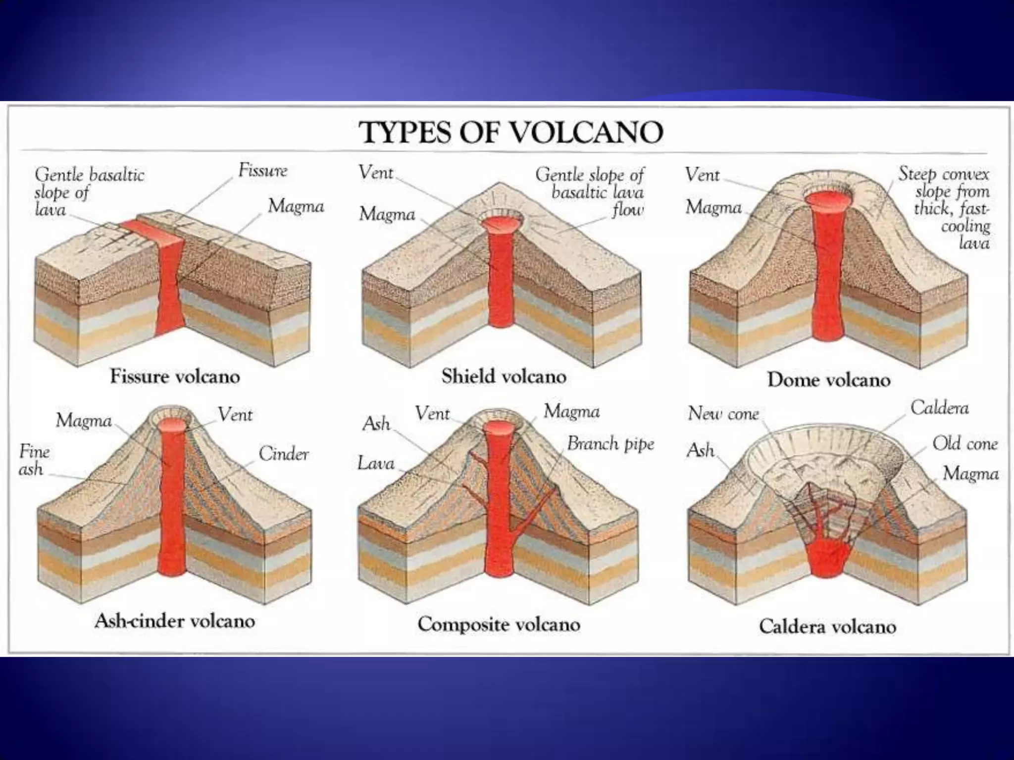 Ch. 2, section 3  Internal Forces