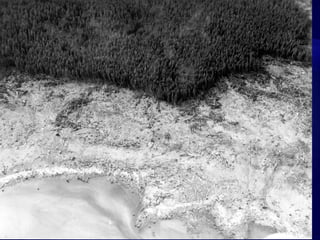 Some are worried that a massive landslide (some 500 billion tons of rock slipping into the ocean) from the Cumbre Vieja volcano off the west coast of Africa could cause a massive tsunami that will devastate the East Coast of the U.S.  Others think the concern is overblown and unwarranted.Japan Tsunami