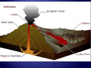 Ch. 2, section 3  Internal Forces