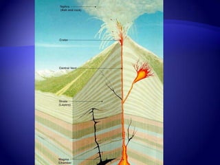 Ch. 2, section 3  Internal Forces