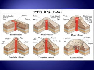 Ch. 2, section 3  Internal Forces