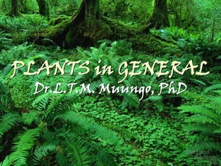 PLANTS in GENERAL
Dr.L.T.M. Muungo, PhD
 