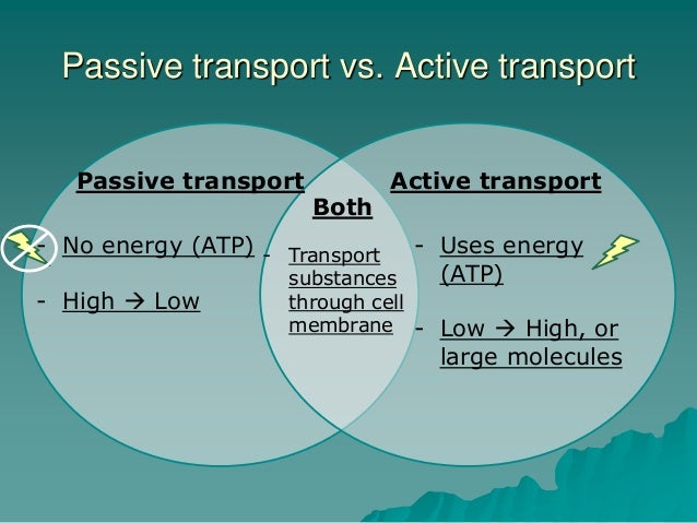 difference between active and passive transport venn venn diagram between active and passive transport