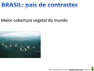 Oficina elaborada pela Professora FERNANDA BRUM LOPES - Geografia
Maior cobertura vegetal do mundo
 