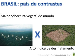 Oficina elaborada pela Professora FERNANDA BRUM LOPES - Geografia
Maior cobertura vegetal do mundo
Alto índice de desmatamento
 