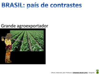 Oficina elaborada pela Professora FERNANDA BRUM LOPES - Geografia
Grande agroexportador
 