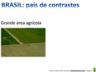 Oficina elaborada pela Professora FERNANDA BRUM LOPES - Geografia
Grande área agrícola
 