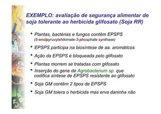 EXEMPLO: avaliação de segurança alimentar de
soja tolerante ao herbicida glifosato (Soja RR)

 • Plantas, bactérias e fungos contêm EPSPS
   (5-enolpyruvylshikimate-3-phosphate synthase)

 • EPSPS participa na biosíntese de aa. aromáticos
 • Ação da EPSPS é bloqueada pelo glifosato
 • Plantas morrem se tratadas com glifosato
 • Inserção do gene de Agrobacterium sp. que
   codifica síntese de EPSPS resistente ao glifosato
 • Soja GM contêm 2 tipos de EPSPS
 • Soja GM tolera o herbicida mas erva daninha não
 