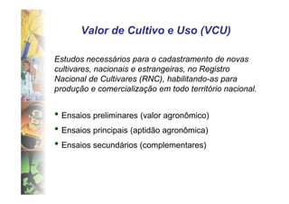 Valor de Cultivo e Uso (VCU)

Estudos necessários para o cadastramento de novas
cultivares, nacionais e estrangeiras, no Registro
Nacional de Cultivares (RNC), habilitando-as para
produção e comercialização em todo território nacional.


• Ensaios preliminares (valor agronômico)
• Ensaios principais (aptidão agronômica)
• Ensaios secundários (complementares)
 