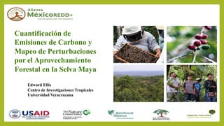 Cuantificación de
Emisiones de Carbono y
Mapeo de Perturbaciones
por el Aprovechamiento
Forestal en la Selva Maya
Edward Ellis
Centro de Investigaciones Tropicales
Universidad Veracruzana
 