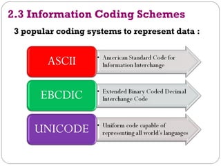 2.3 information coding_scheme | PPT