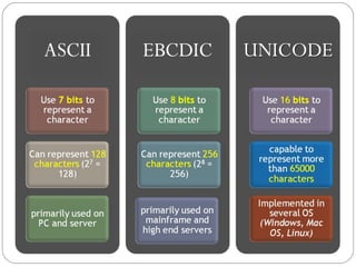 2.3 information coding_scheme | PPT
