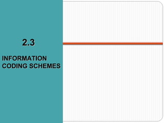 2.3 information coding_scheme | PPT