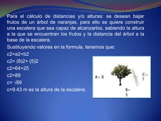 Para el cálculo de distancias y/o alturas: se desean bajar
frutos de un árbol de naranjas, para ello se quiere construir
una escalera que sea capaz de alcanzarlos, sabiendo la altura
a la que se encuentran los frutos y la distancia del árbol a la
base de la escalera.
Sustituyendo valores en la formula, tenemos que:
c2=a2+b2
c2= (8)2+ (5)2
c2=64+25
c2=89
c= √89
c=9.43 m es la altura de la escalera.
 