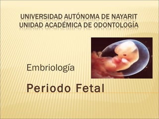Embriología Periodo Fetal 