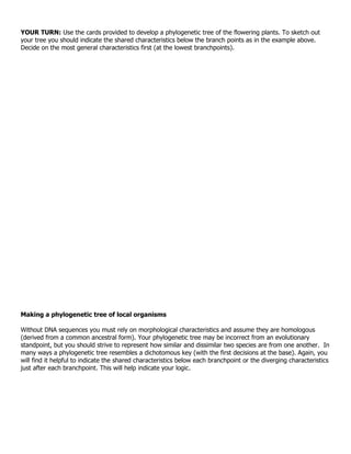 YOUR TURN: Use the cards provided to develop a phylogenetic tree of the flowering plants. To sketch out
your tree you should indicate the shared characteristics below the branch points as in the example above.
Decide on the most general characteristics first (at the lowest branchpoints).




Making a phylogenetic tree of local organisms

Without DNA sequences you must rely on morphological characteristics and assume they are homologous
(derived from a common ancestral form). Your phylogenetic tree may be incorrect from an evolutionary
standpoint, but you should strive to represent how similar and dissimilar two species are from one another. In
many ways a phylogenetic tree resembles a dichotomous key (with the first decisions at the base). Again, you
will find it helpful to indicate the shared characteristics below each branchpoint or the diverging characteristics
just after each branchpoint. This will help indicate your logic.
 